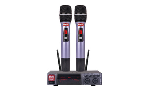 BBS一拖二無線話筒F80D